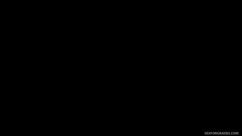 19544